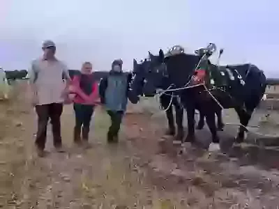 British National Ploughing Championships - Success for the Kerswell Family